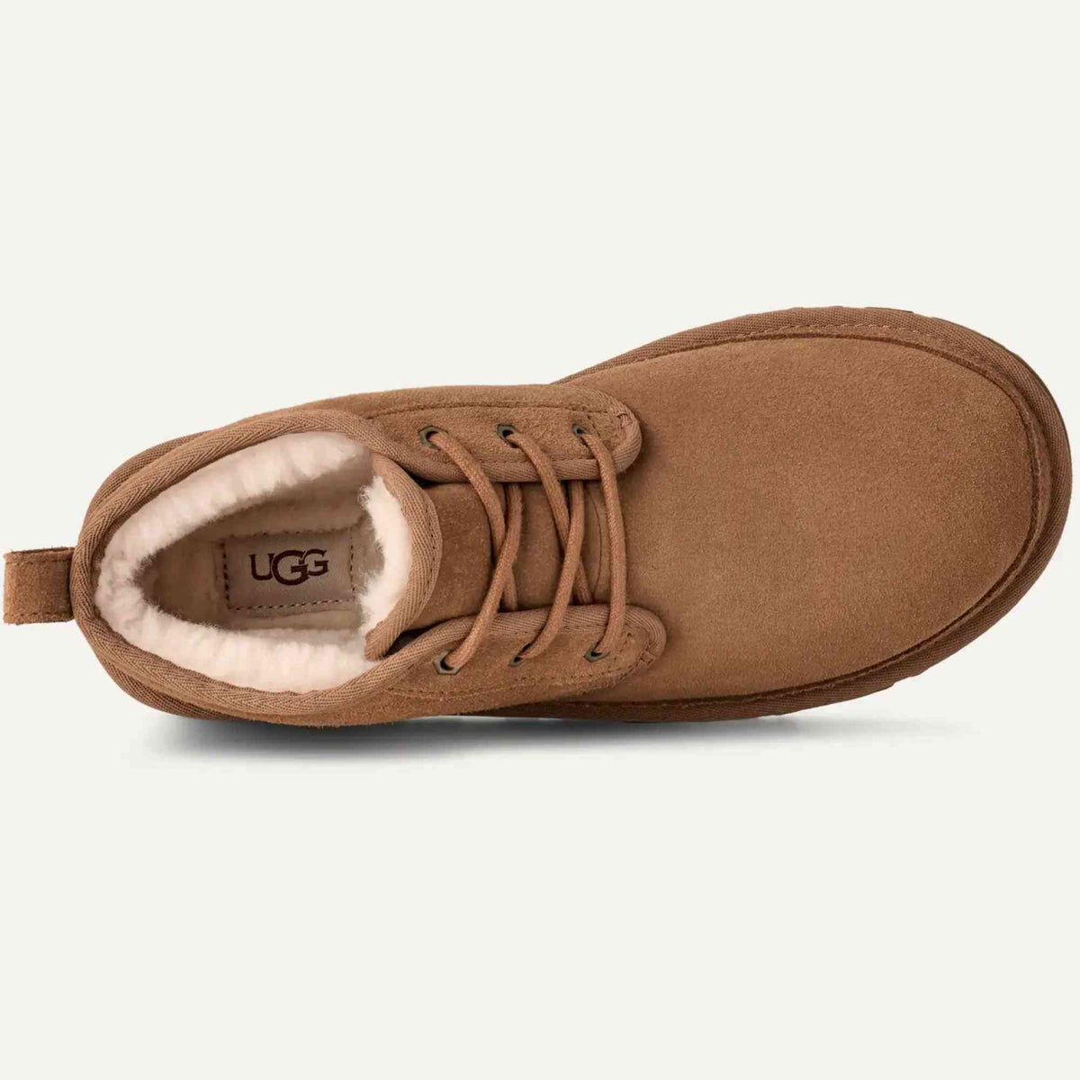 Polacchino UGG Neumel 3236 Chestnut Scarpe Uomo | Autunno Inverno