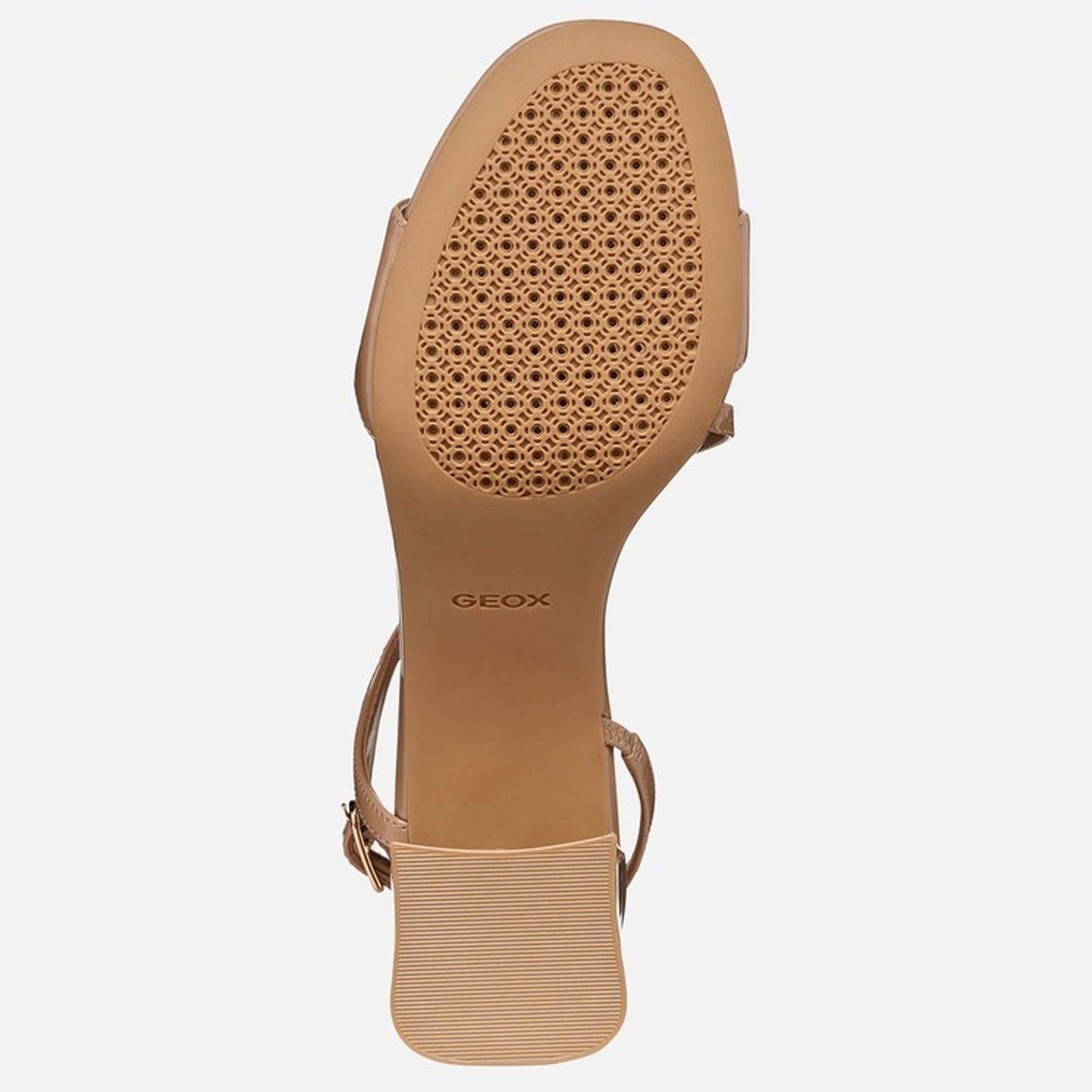 Sandali GEOX D656JA "New Eraklia 50" marrone