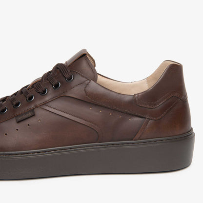 Sneaker NeroGiardini I601371U-412 scarpe uomo Marrone