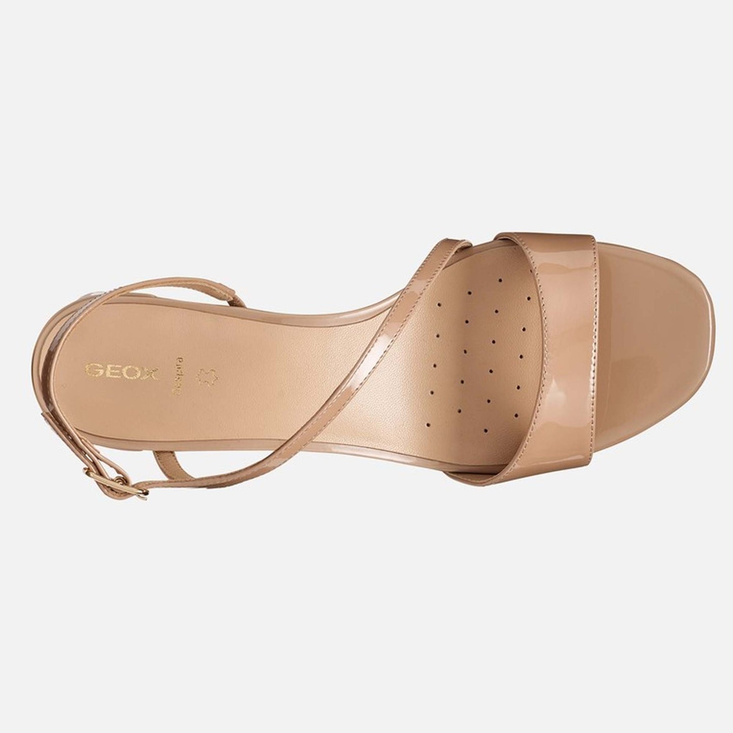 Sandali GEOX D656JA "New Eraklia 50" marrone